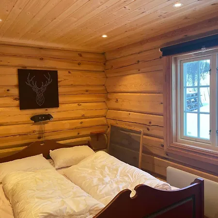 Blazerbu Four-bedroom * Hol (Buskerud)